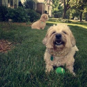 Meet your Posher, Andrew